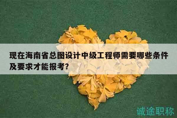 现在海南省总图设计中级工程师需要哪些条件及要求才能报考？