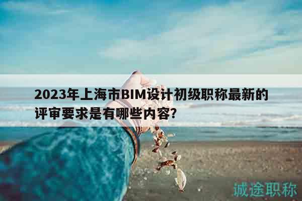 2023年上海市BIM设计初级职称最新的评审要求是有哪些内容？