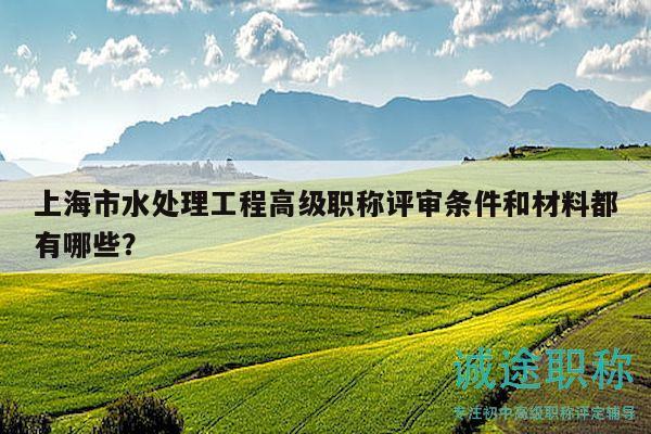 上海市水处理工程高级职称评审条件和材料都有哪些？