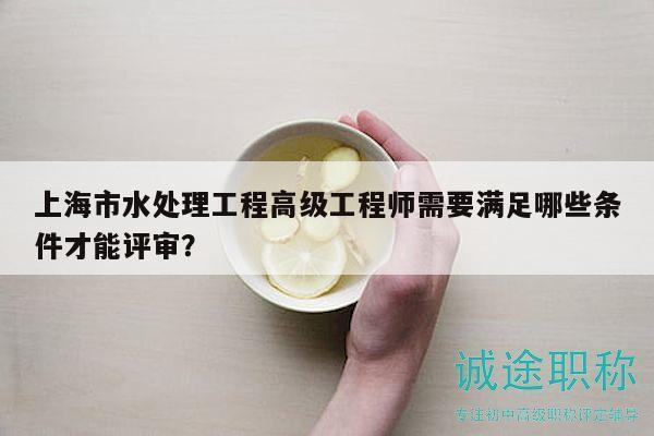 上海市水处理工程高级工程师需要满足哪些条件才能评审？