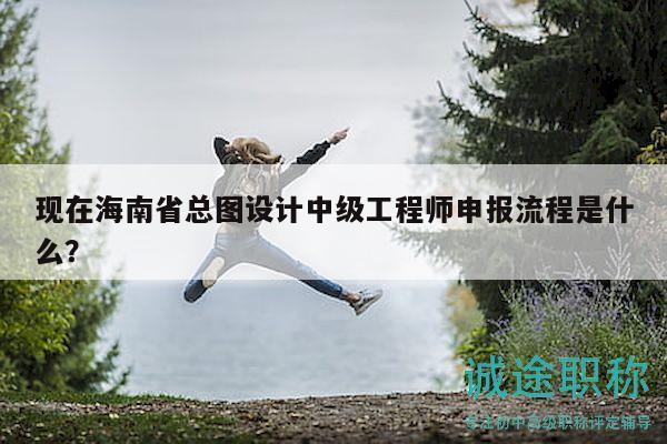 现在海南省总图设计中级工程师申报流程是什么？