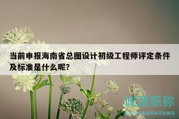 当前申报海南省总图设计初级工程师评定条件及标准是什么呢？