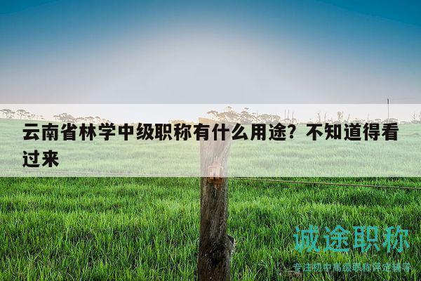 云南省林学中级职称有什么用途？不知道得看过来
