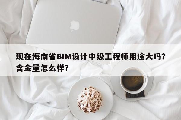 现在海南省BIM设计中级工程师用途大吗？含金量怎么样？