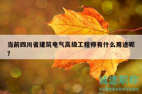 当前四川省建筑电气高级工程师有什么用途呢？