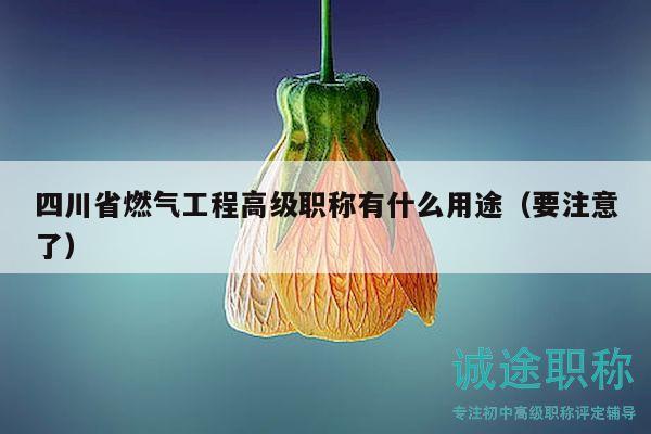 四川省燃气工程高级职称有什么用途（要注意了）