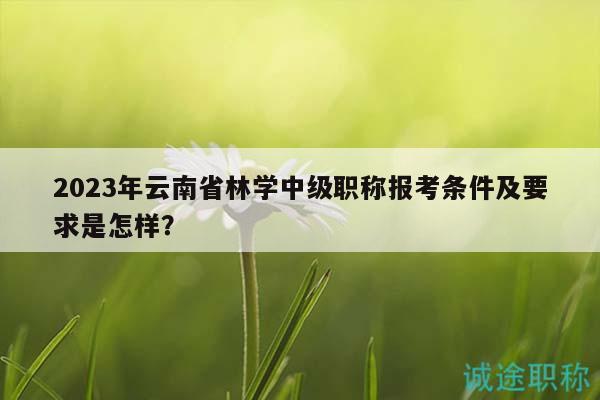 2023年云南省林学中级职称报考条件及要求是怎样？