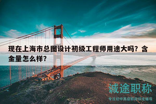 现在上海市总图设计初级工程师用途大吗？含金量怎么样？