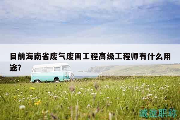 目前海南省废气废固工程高级工程师有什么用途？