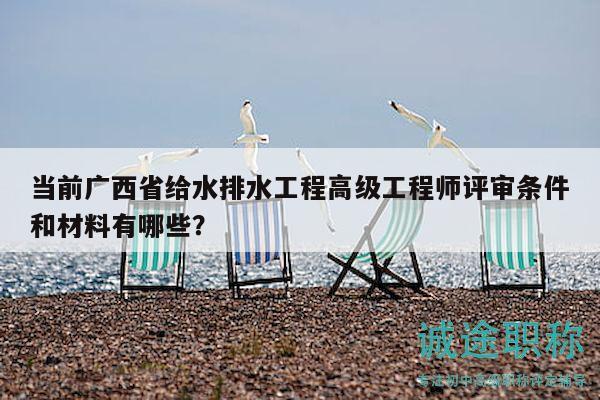 当前广西省给水排水工程高级工程师评审条件和材料有哪些？