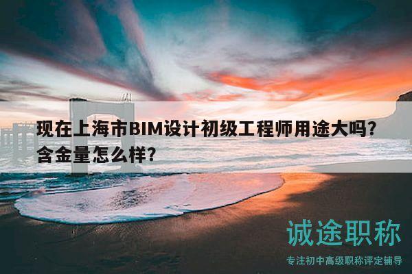 现在上海市BIM设计初级工程师用途大吗？含金量怎么样？