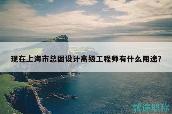 现在上海市总图设计高级工程师有什么用途？