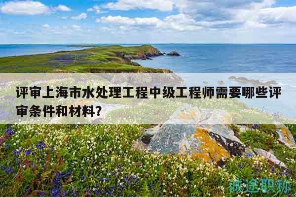 评审上海市水处理工程中级工程师需要哪些评审条件和材料？