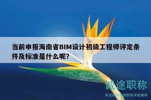 当前申报海南省BIM设计初级工程师评定条件及标准是什么呢？