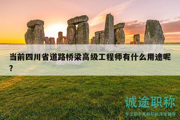 当前四川省道路桥梁高级工程师有什么用途呢？