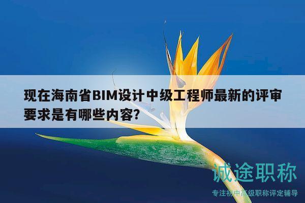 现在海南省BIM设计中级工程师最新的评审要求是有哪些内容？