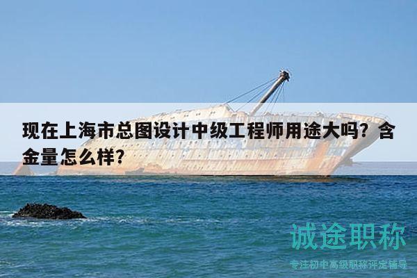 现在上海市总图设计中级工程师用途大吗？含金量怎么样？