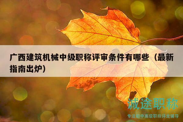 广西建筑机械中级职称评审条件有哪些（最新指南出炉）
