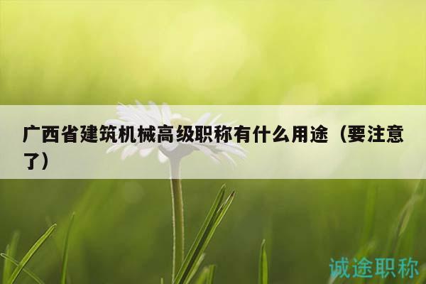 广西省建筑机械高级职称有什么用途（要注意了）