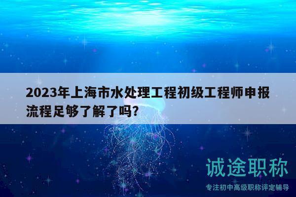 2023年上海市水处理工程初级工程师申报流程足够了解了吗？