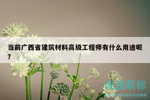 当前广西省建筑材料高级工程师有什么用途呢？