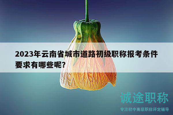 2023年云南省城市道路初级职称报考条件要求有哪些呢？