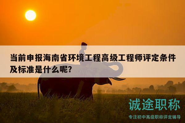当前申报海南省环境工程高级工程师评定条件及标准是什么呢？