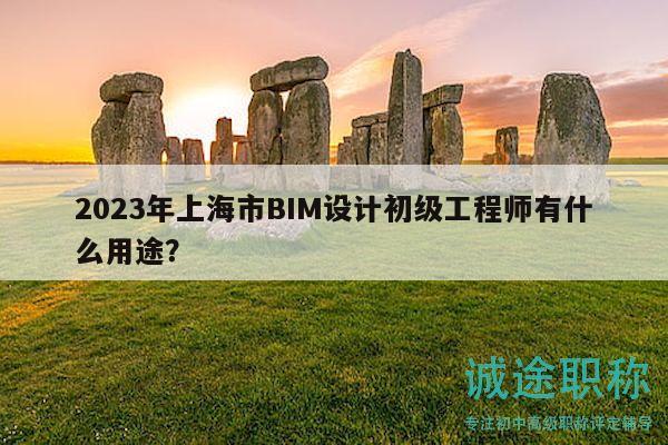 2023年上海市BIM设计初级工程师有什么用途？