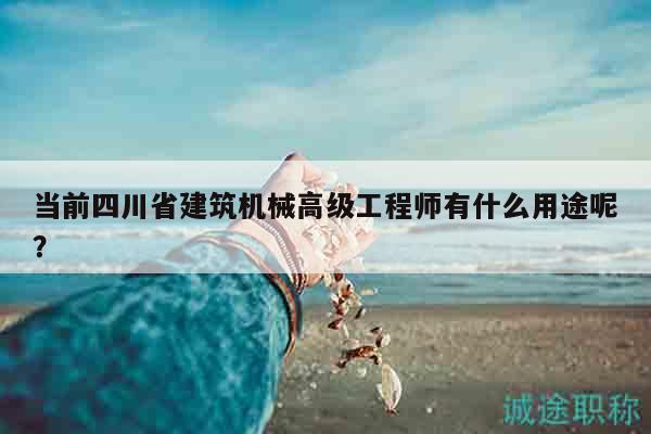 当前四川省建筑机械高级工程师有什么用途呢？