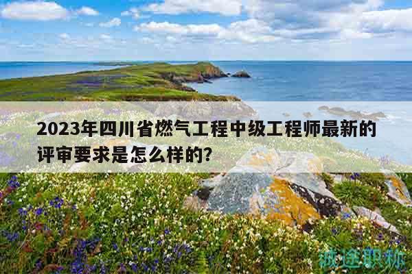 2023年四川省燃气工程中级工程师最新的评审要求是怎么样的？