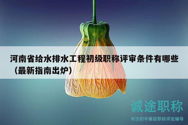河南省给水排水工程初级职称评审条件有哪些（最新指南出炉）