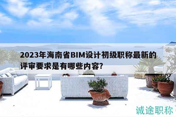 2023年海南省BIM设计初级职称最新的评审要求是有哪些内容？