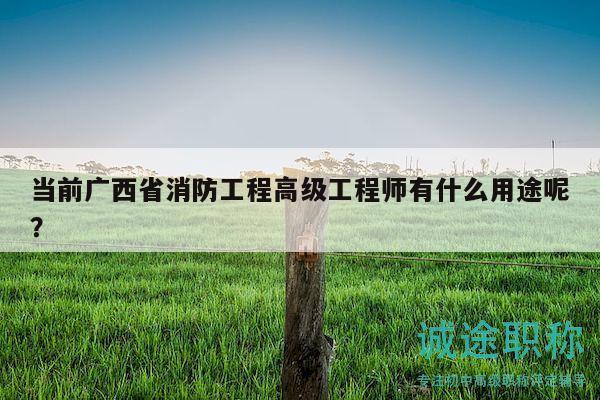 当前广西省消防工程高级工程师有什么用途呢？