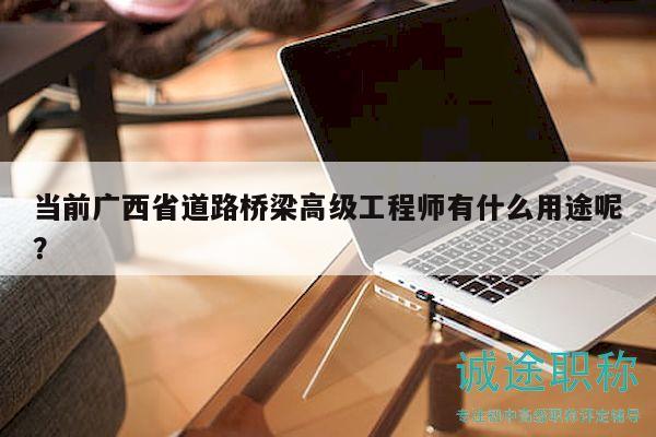 当前广西省道路桥梁高级工程师有什么用途呢？