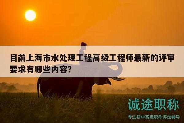 目前上海市水处理工程高级工程师最新的评审要求有哪些内容？