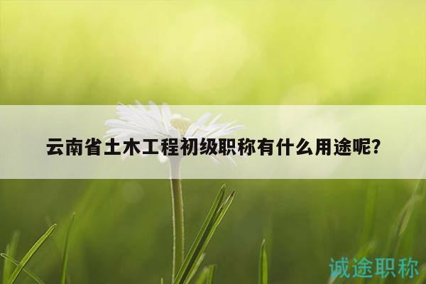 云南省土木工程初级职称有什么用途呢？