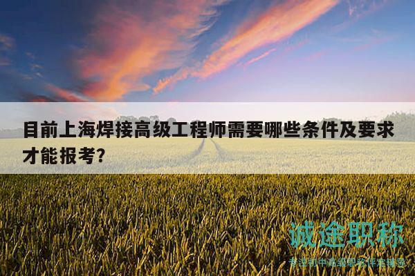 目前上海焊接高级工程师需要哪些条件及要求才能报考？