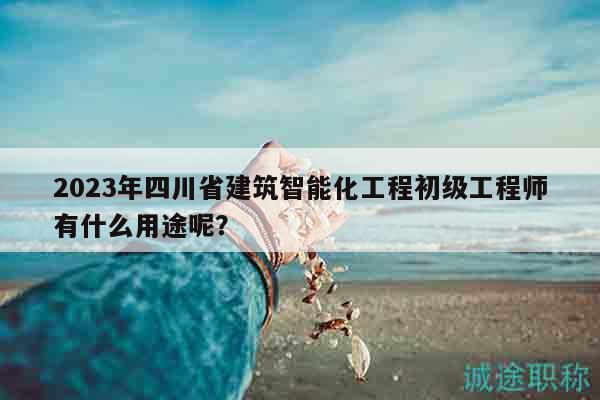 2023年四川省建筑智能化工程初级工程师有什么用途呢？