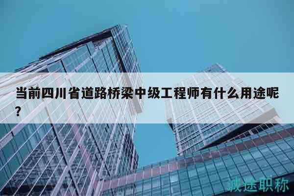 当前四川省道路桥梁中级工程师有什么用途呢？