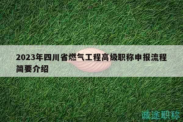 2023年四川省燃气工程高级职称申报流程简要介绍