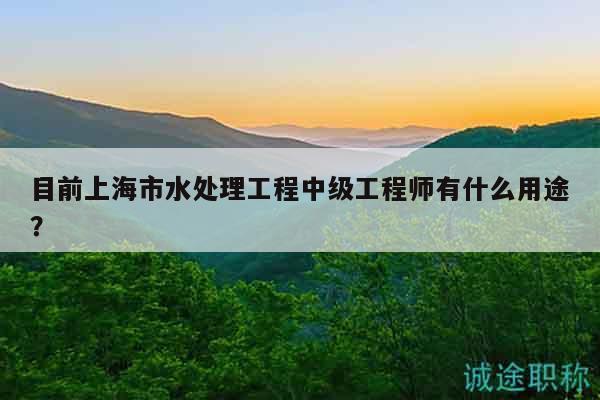 目前上海市水处理工程中级工程师有什么用途？