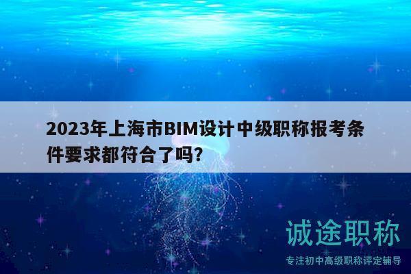 2023年上海市BIM设计中级职称报考条件要求都符合了吗？