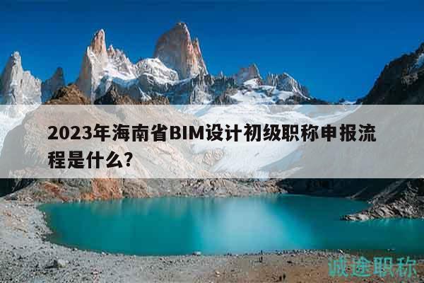 2023年海南省BIM设计初级职称申报流程是什么？