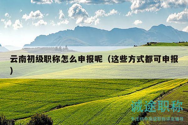 云南初级职称怎么申报呢（这些方式都可申报）