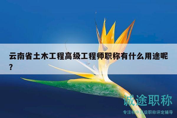云南省土木工程高级工程师职称有什么用途呢？