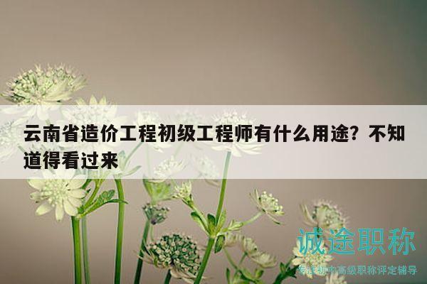 云南省造价工程初级工程师有什么用途？不知道得看过来