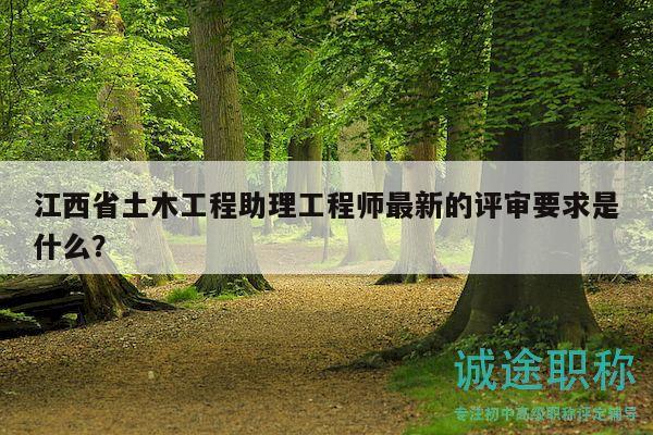 江西省土木工程助理工程师最新的评审要求是什么？