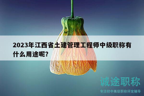 2023年江西省土建管理工程师中级职称有什么用途呢？