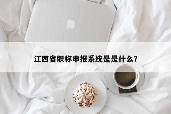 江西省职称申报系统是是什么？