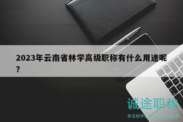 2023年云南省林学高级职称有什么用途呢？